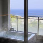 ナチュラル伊豆フレンチ 熱海風雅（静岡県 リゾートホテル） / 4