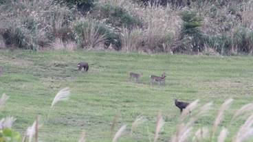施設からの眺望 / 7