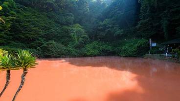 観光スポット / 11