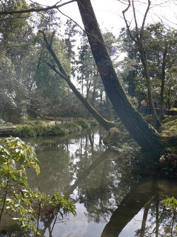 「心字池」と池泉回遊式庭園1026955