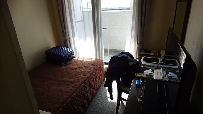 シングルルームです。寝るだけなら充分。