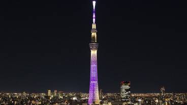 施設からの眺望 / 11