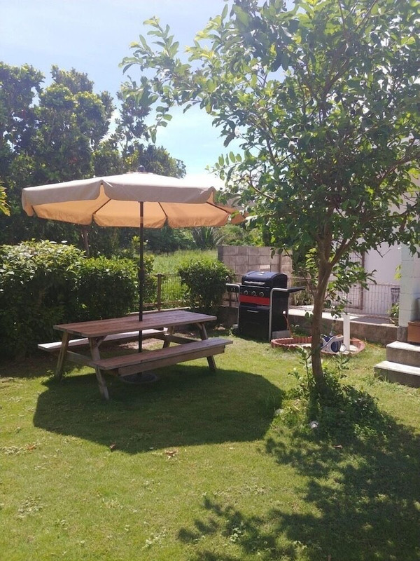 テラス / パティオ