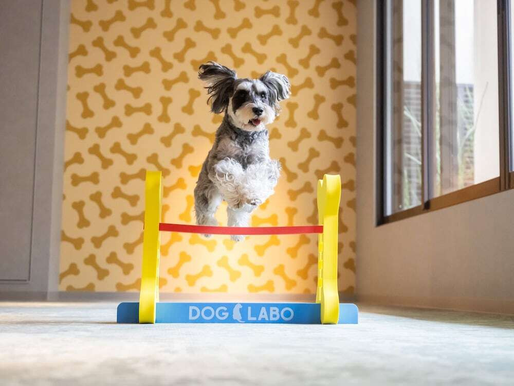 ペット用設備・サービス