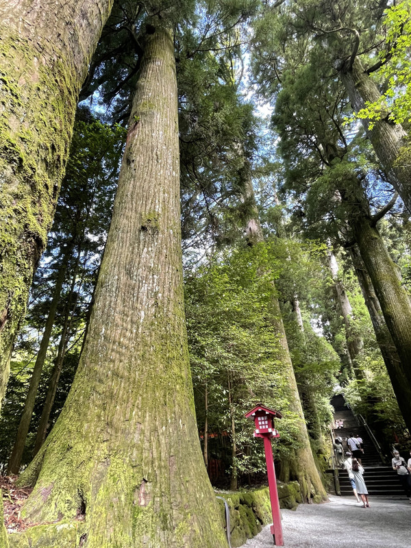 yuriyurimonemoneさんの写真 / 4