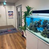 Mr.KINJO in Rinzu SERAGAKI（沖縄県 アパートメント） / 2