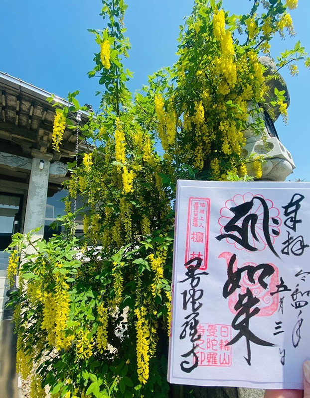 manatabigramさんの写真 / 1