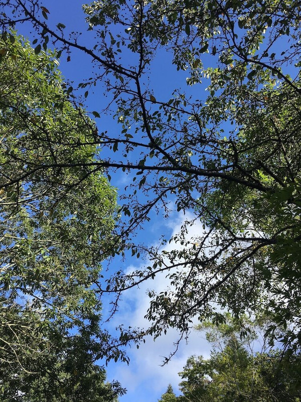 施設からの眺望