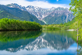 [Nagano] Taisho Pond in Kamikochi, fresh greenery in early summer