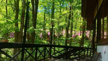 施設からの眺望 / 15