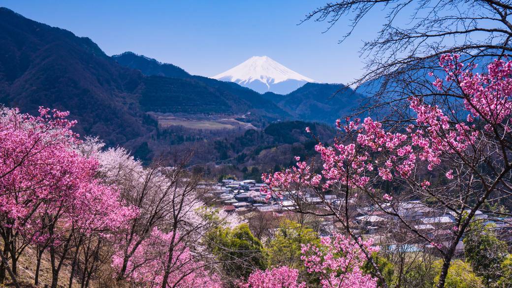 大月 春の風景 / 3