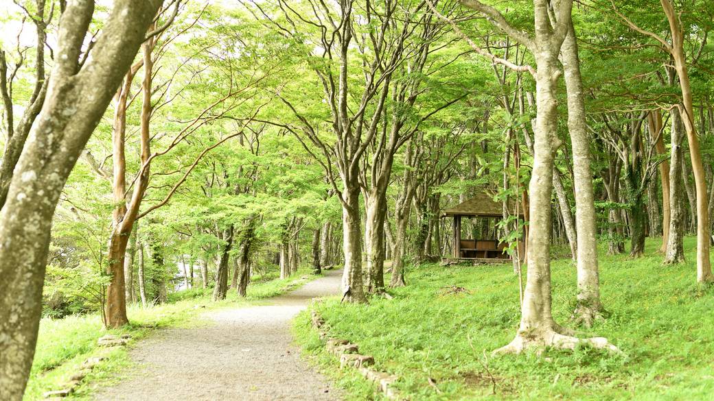 いろんな角度から
芦ノ湖を楽しむ♪ / 2