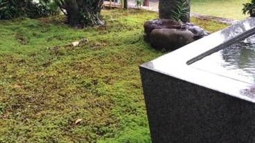 施設の敷地 / 15