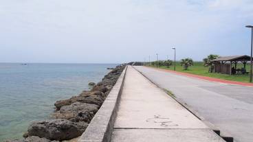 シティ ビュー / 19