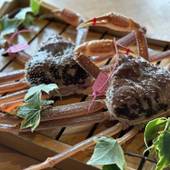 城崎 円山川温泉 銀花（兵庫県 旅館） / 4