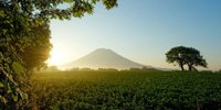 ニセコの温泉でぽかぽかあったまろう♪温泉付きおすすめホテル7選