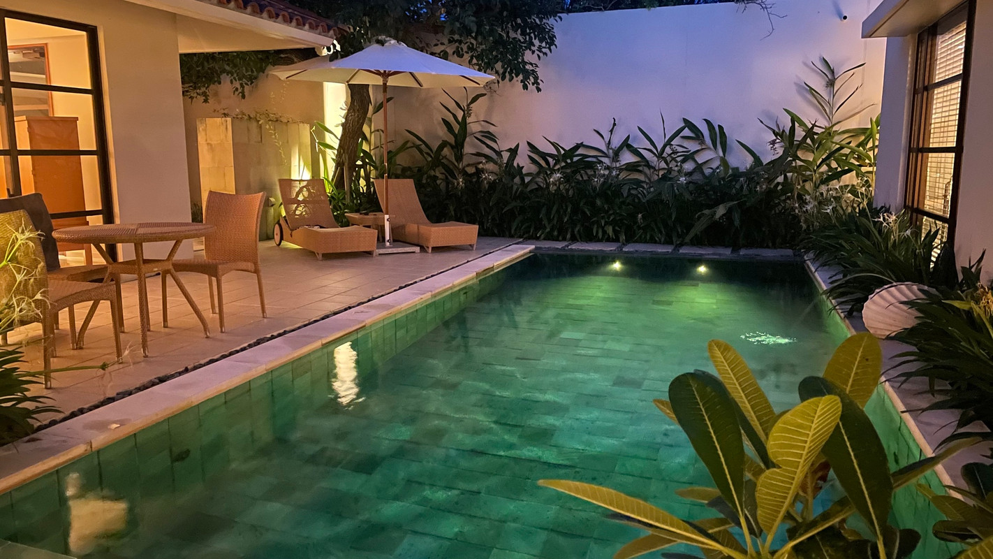 momogram1177さんの写真 / 2