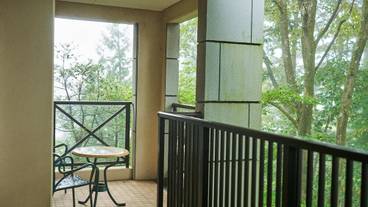 テラス / パティオ / 6