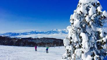 スノー スポーツとスキー / 11