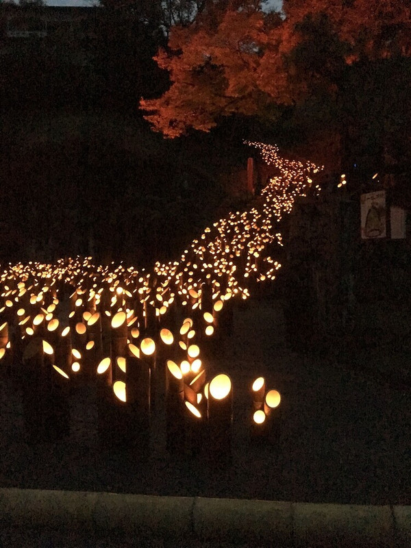 施設からの眺望