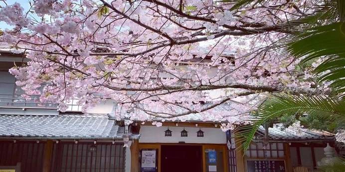 坂聖・玉樟園（静岡県 旅館） / 1
