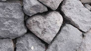 施設からの眺望 / 24