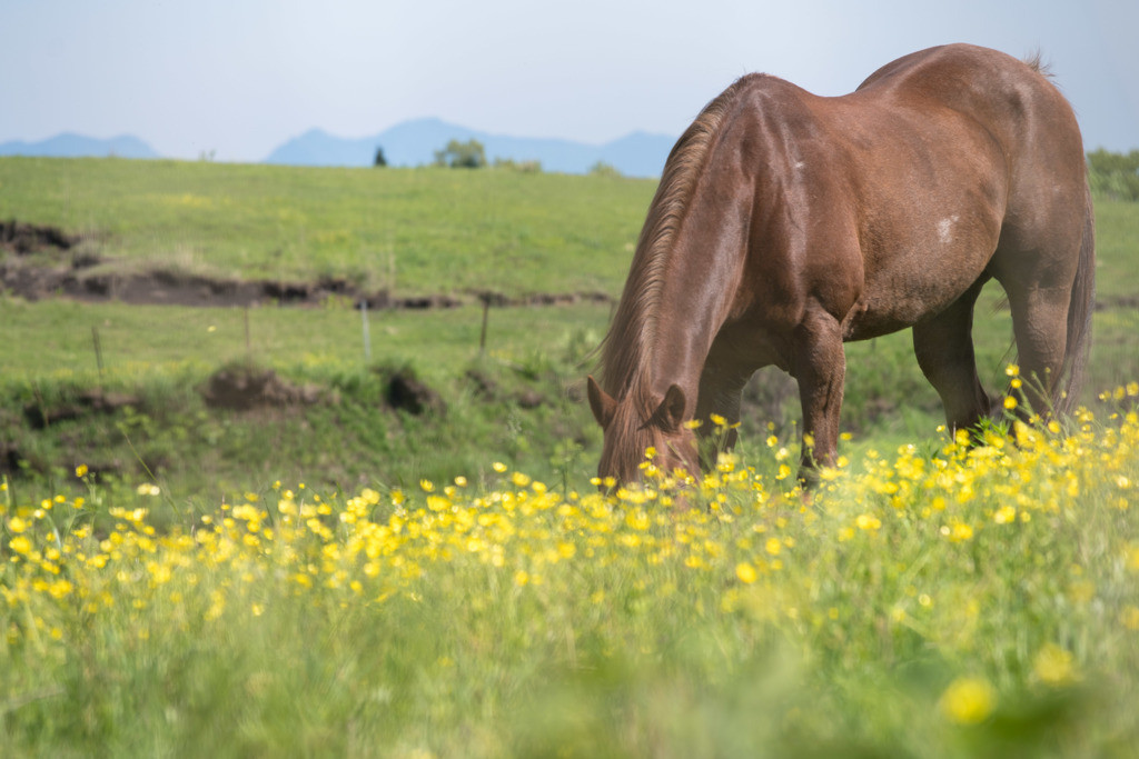 心地いい宿で旅の疲れを癒して♪3538199
