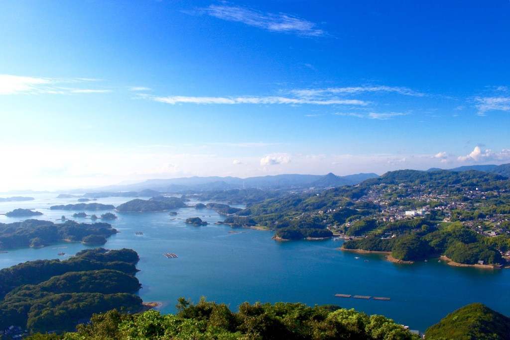 展海峰2032445