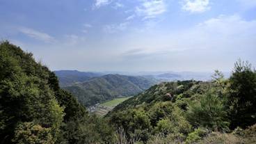 観光スポット / 10