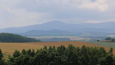 施設からの眺望 / 15