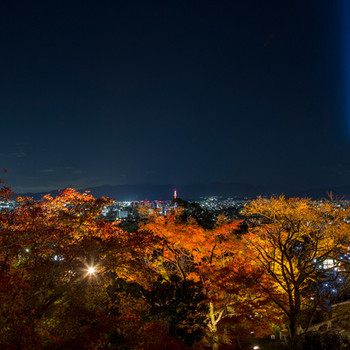 名所付近に泊まって、京風情を感じる滞在時間を過ごそう3638153
