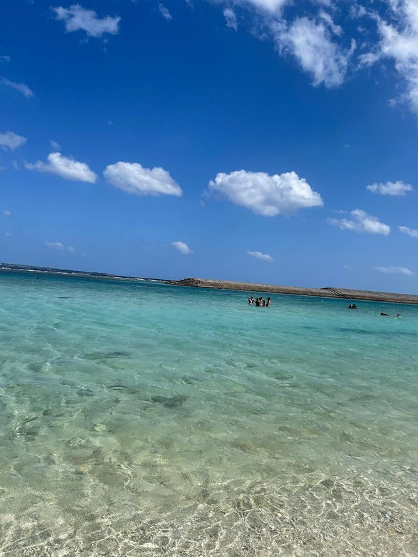 ume106haruさんの写真 / 1