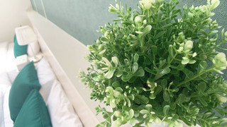 ダブルルーム ダブルベッド2台付 303号室 禁煙(ソファベッド用の寝具は部屋に常備していない為 事前にリクエストが必要)