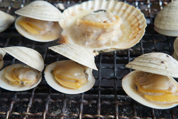 「焼蛤 浜茶屋 向島」料理 1154924 焼はまぐりとホタテ