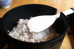 山薬