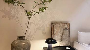 リビング エリア / 26