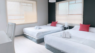 ファミリー ルーム 禁煙 (501)