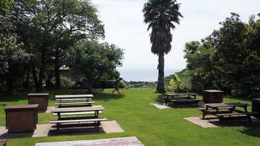 バーベキュー / ピクニック エリア / 8