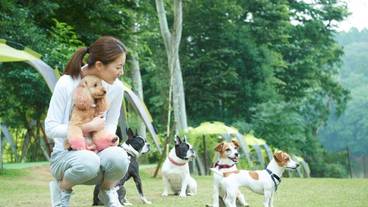 ペット用設備・サービス / 5