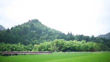 施設からの眺望 / 19