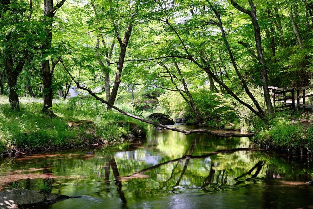 大自然×リゾート！の新感覚ホテルで、心身をリフレッシュ3699204