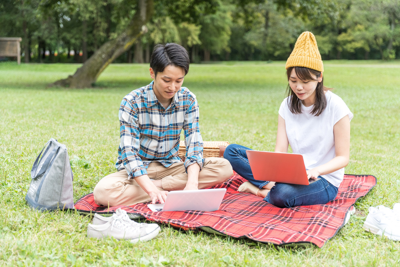 公園でPC操作をするカップル