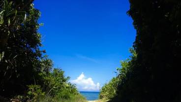 メイン イメージ / 1