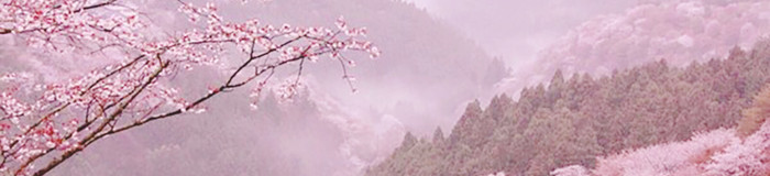 ”日本一の桜”吉野山のお花見旅行におすすめ旅館6選／奈良