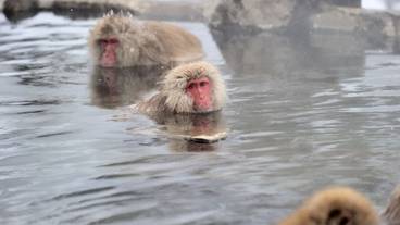 観光スポット / 4