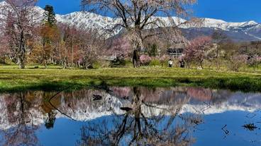 バーベキュー / ピクニック エリア / 7