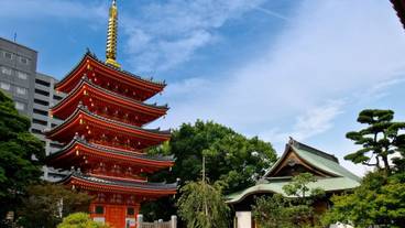 観光スポット / 10