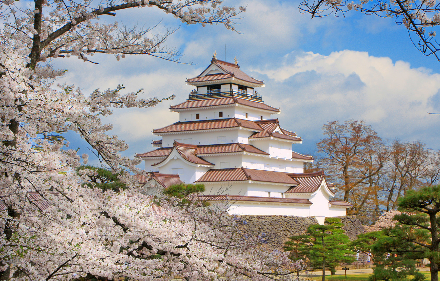 桜と赤瓦の鶴ヶ城