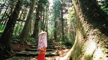 観光スポット / 9