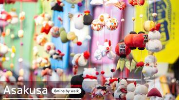 観光スポット / 7